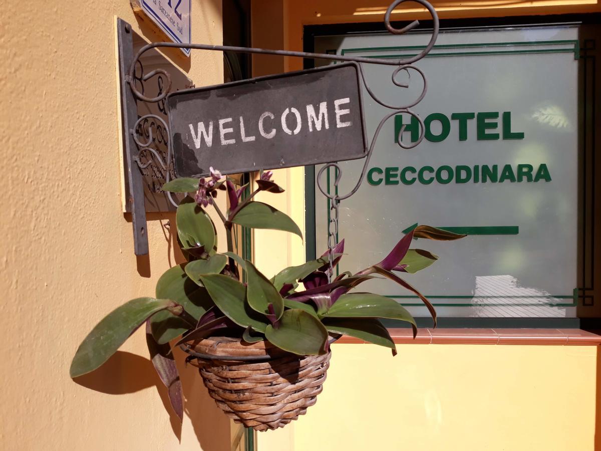 Cecco Di Nara Hotel Massarosa Luaran gambar